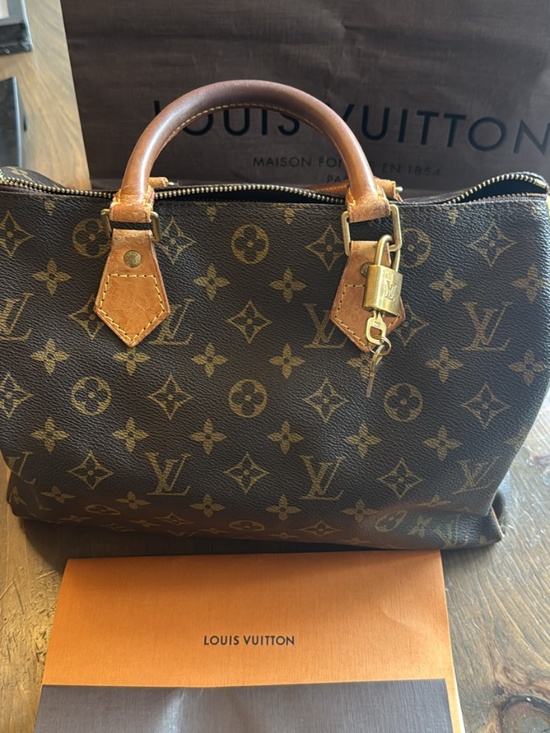 Louis Vuitton Handbags - Louis Vuitton Speedy 30